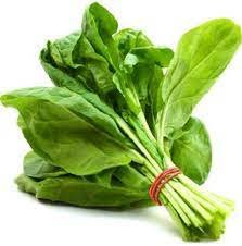 Spinach / Palak - 250 gram